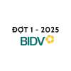Đề thi BIDV đợt 1 năm 2025 - vị trí Quản lý khách hàng